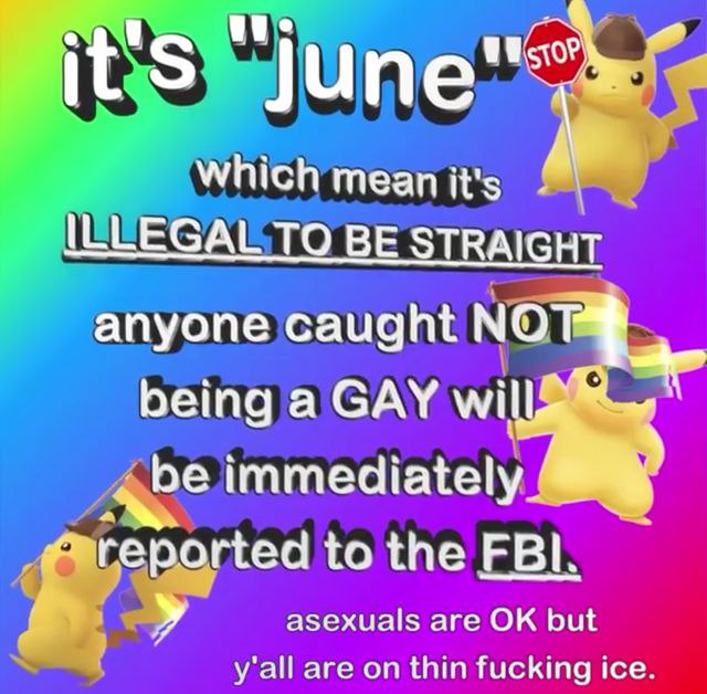 it's june which mean it's ILLEGAL TO BE STRAIGHT anyone caught NOT being a GAY will be immediately reported to the FBI (asexuals are OK but y'all are on think fucking ice.)